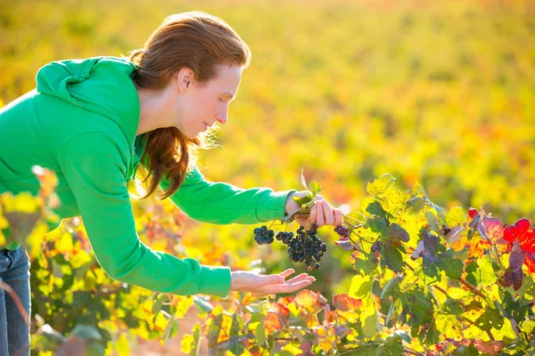 Agricoltore donna in vigna raccolto autunno in mediterraneo — Foto Stock