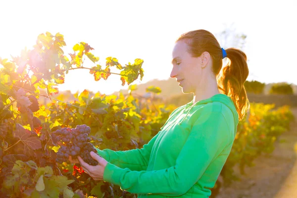 Agricoltore donna in vigna raccolta autunno foglie in mediterraneo — Foto Stock