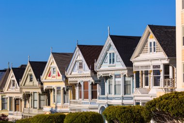 san francisco victorian alamo kare Kaliforniya'da evler.
