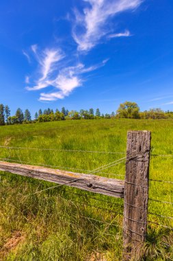 Mavi gökyüzü bahar günü'California meadow çiftliği