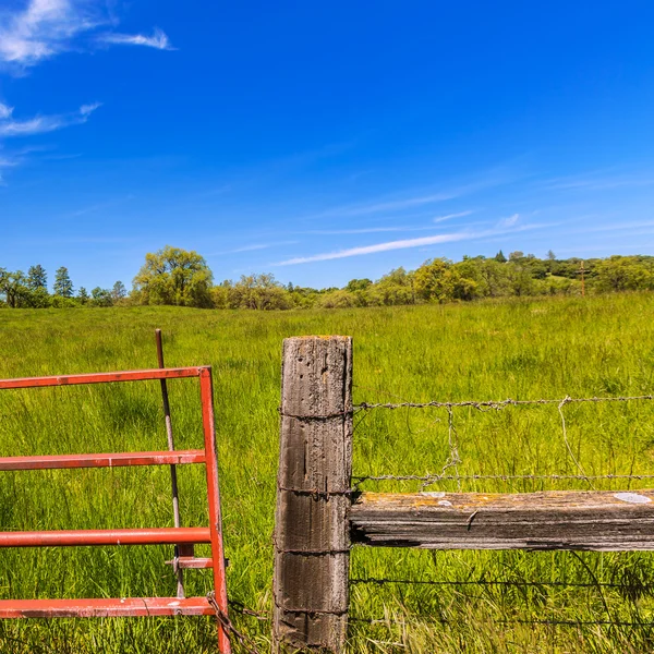 Kalifornie meadow ranch v modré obloze jarní den — Stock fotografie