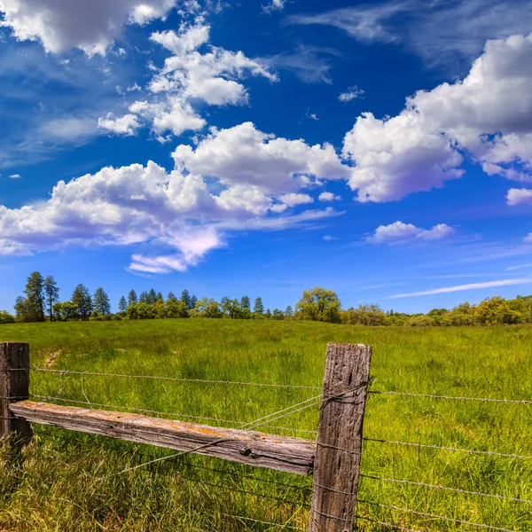 Kaliforniai rét ranch a kék égen tavasz — Stock Fotó