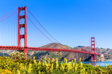 Golden gate Köprüsü san francisco presidio California