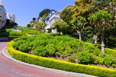 san francisco lombard street bahçeleri Kaliforniya