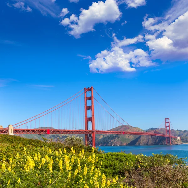 Golden gate bridge san francisco från presidio Kalifornien — Stockfoto