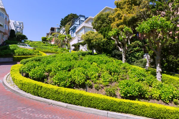 San francisco lombard street zahrady Kalifornie — Stock fotografie