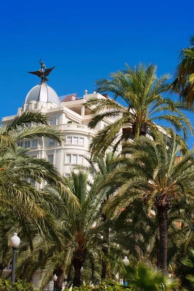 Alicante La Explanada buildings with plam trees in Valencia — Stock Photo, Image