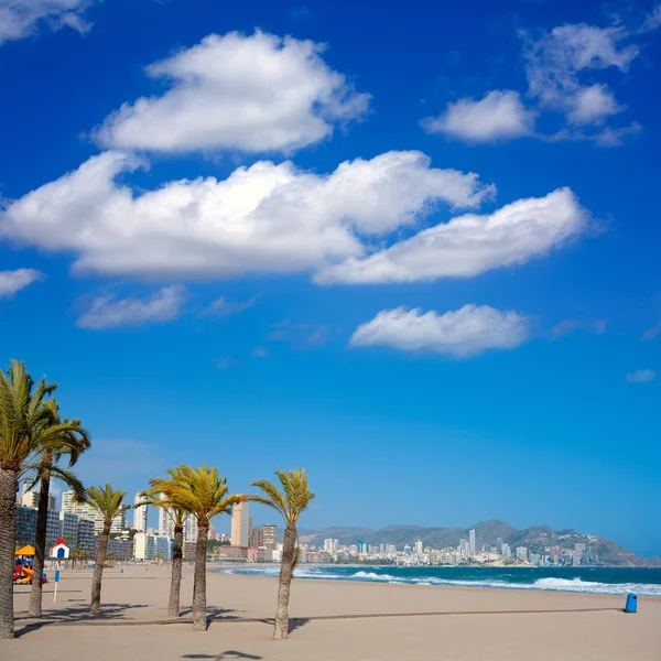 Benidorm alicante Strand Palmen und Mittelmeer — Stockfoto