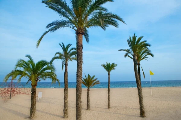 Benidorm palmen strand im mediterranen alicante — Stockfoto