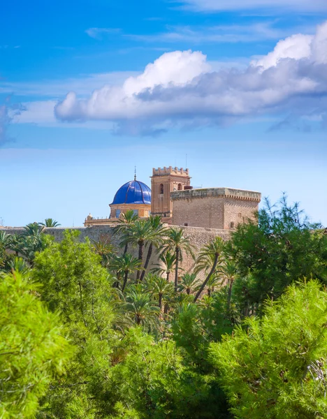 Elche Elx Alicante el Palmeral Palm trees Park and Altamira Pala — Stock Photo, Image