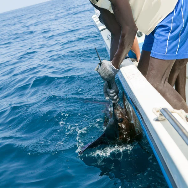 Vitorláshal elkapni billfish sportfishing gazdaság bill — Stock Fotó