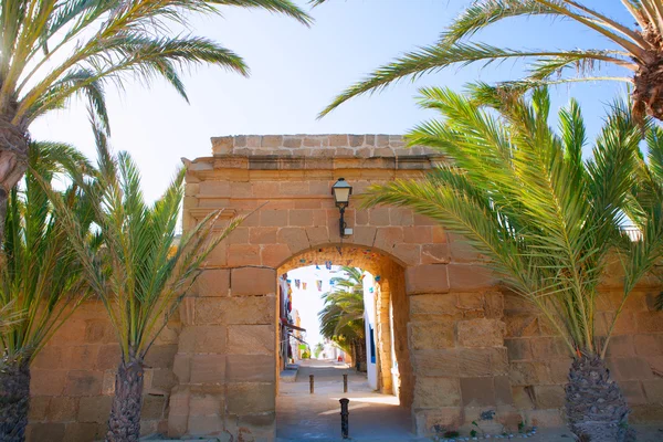 Het eiland Tabarca in alicante in de regio Valencia — Stockfoto