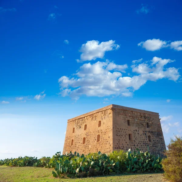Torre da ilha de Tabarca Torre de San Jose castelo Alicante — Fotografia de Stock