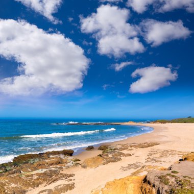 California bakla içi boş devlet beach cabrillo hwy