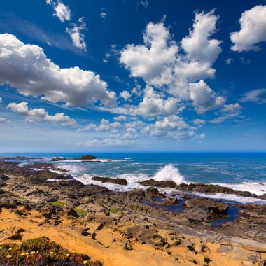 California bakla içi boş devlet beach cabrillo hwy