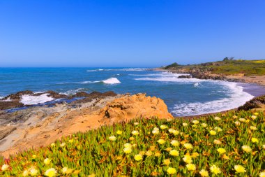 California bakla içi boş devlet beach cabrillo hwy