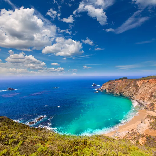 California beach w big sur w monterey county trasa 1 — Zdjęcie stockowe