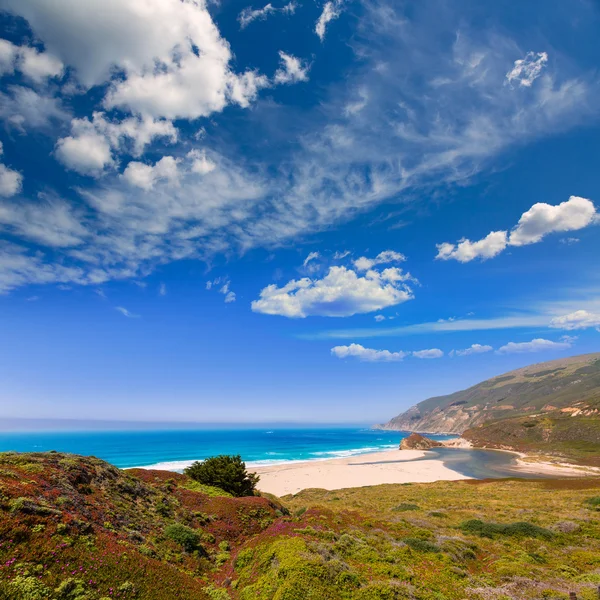 Kalifornischer strand in big sur in monterey pazifik highway 1 — Stockfoto