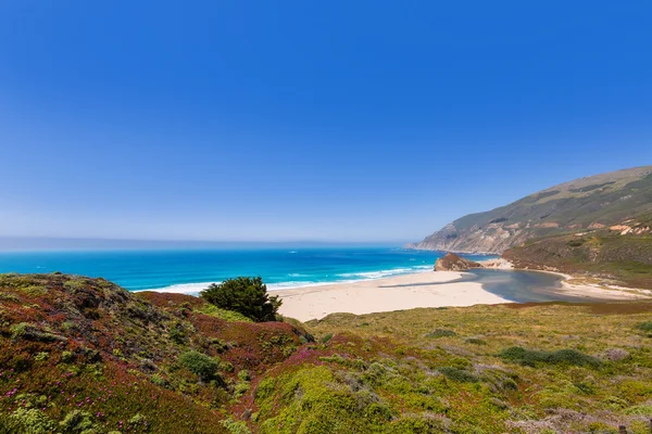 California beach w big sur w monterey pacific highway 1 — Zdjęcie stockowe