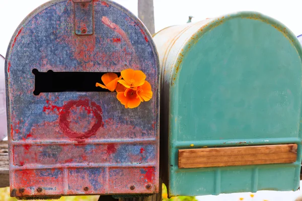 California poppy grunge mailboxes along Pacific Highway Route 1 — Stock Photo, Image