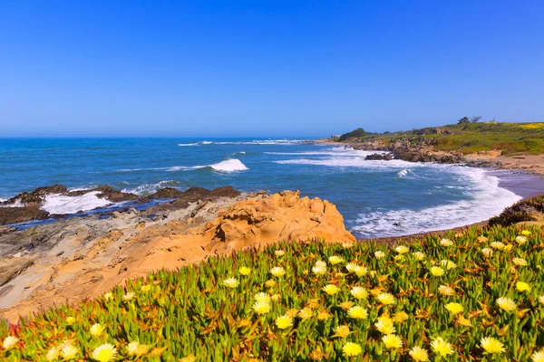 Kalifornien Bohnen hohlen Staat Strand in Cabrillo hwy — Stockfoto