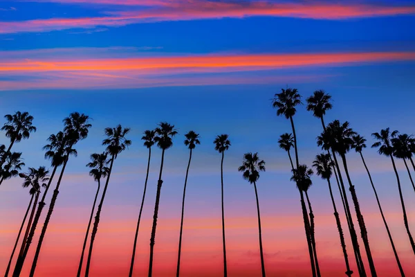 Kalifornien Sonnenuntergang Palmenreihen in Santa Barbara — Stockfoto