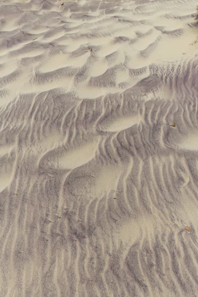 캘리포니아 빅 서 주립 공원 모래 짜임새에서 파이퍼 비치 — стокове фото