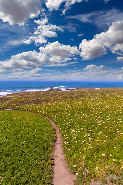California güvercin cabrillo hwy kıyı hwy 1 plaj üzerine gelin. — Stok fotoğraf
