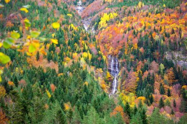 sonbahar bujaruelo ordesa waterfal renkli sonbahar orman huesca içinde