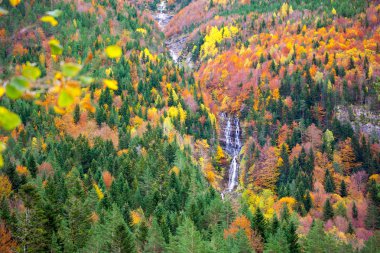 Autumn Bujaruelo Ordesa waterfal in colorful fall forest Huesca clipart