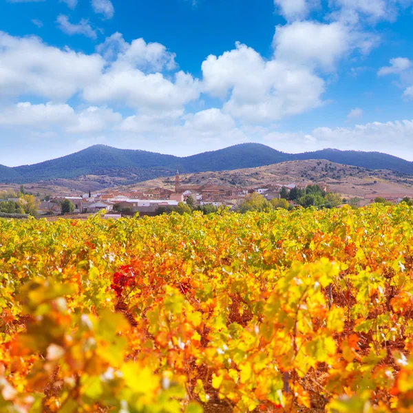 Aragón Paniza otoño viña roja dorada en Zaragoza — Foto de Stock