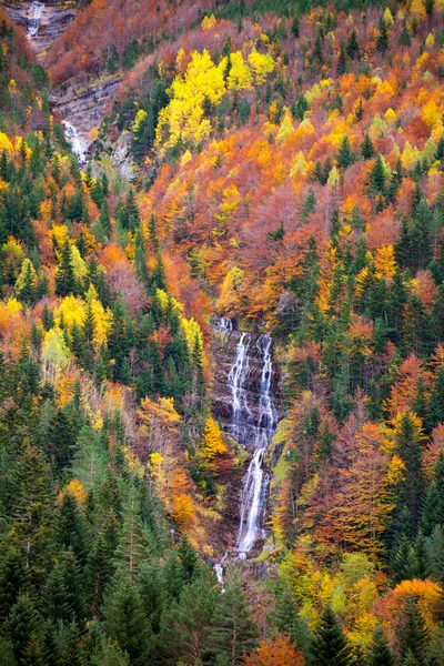 Autumn Bujaruelo Ordesa waterfal in colorful fall forest Huesca — Stok Foto