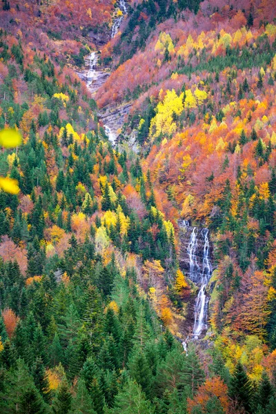 Podzimní bujaruelo ordesa vodopád v barevný podzim lesní huesca — Stock fotografie