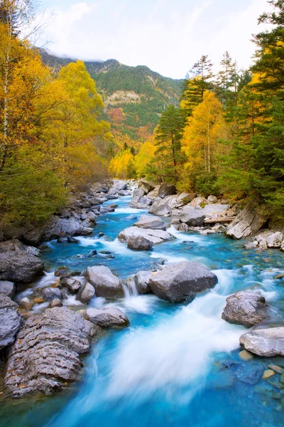 Rio Ara Bujaruelo no vale do Valle de Ordesa Pirinéus Huesc — Fotografia de Stock