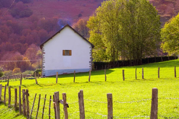 Zagroda łąka jesienią w irati Pirenejów navarra Hiszpania — Zdjęcie stockowe