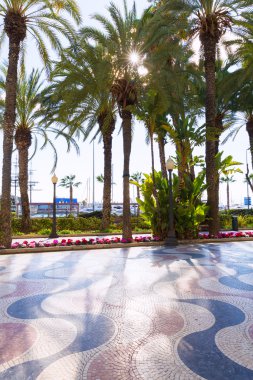 Alicante la explanada de espana İspanya