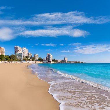 la albufereta palms ağaçları ile Alicante san juan Plajı