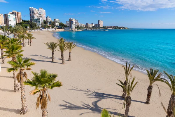 Alicante san juan Strand von la albufereta mit palmen — Stockfoto