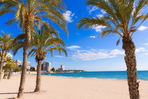 Alicante san juan strand van la zonneterrassen met palmen bomen — Stockfoto