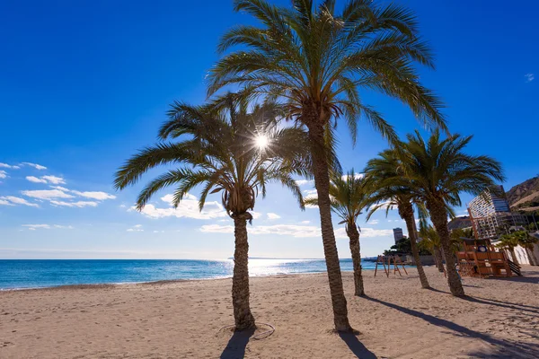 Pláže san juan Alicante la Albufereta s palem — Stock fotografie