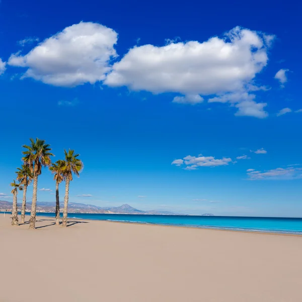 Plage d'Alicante San Juan avec palmiers de Méditerranée — Photo