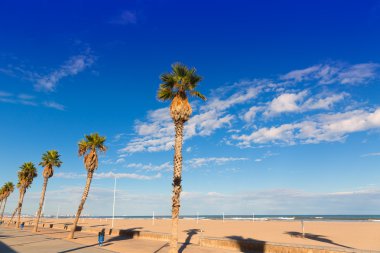 Valencia malvarrosa las arenas beach palm ağaçlar patacona