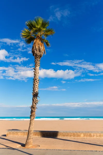 Valencia malvarrosa las arenas Palmenstrand in patacona — Stockfoto