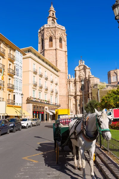 Valencia Katedrali ve plaza de la Reina miguelete — Stok fotoğraf