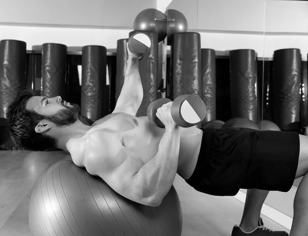 Hantel chest press på passa bollen man träning — Stockfoto