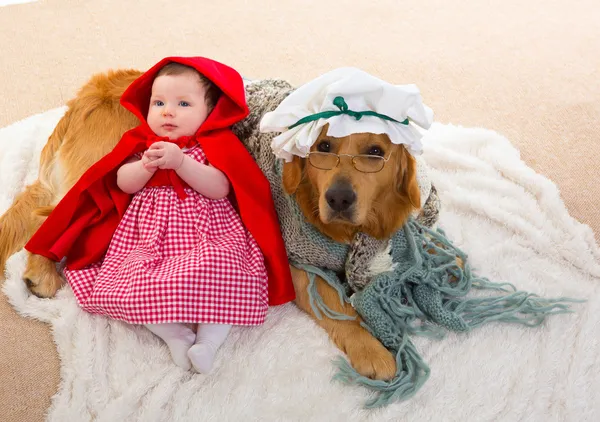 Petit Chaperon Rouge Bebe Avec Chien Loup Comme Grand Mere Enfant Fille Blanc Stock Photo Petit Chaperon Rouge Bebe Avec Chien Loup Comme Grand Mere Enfant Fille Blanc Stock Photo