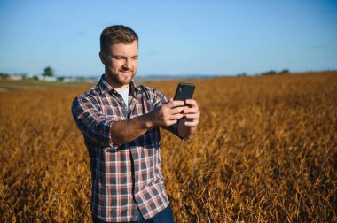 Soya fasulyesi çiftliğinin fotoğraflarını çeken çiftçi. Kalite kontrolü. Agronomistin işi. Brezilya Çiftliği.