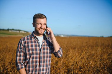 Soya tarlasında dikilen çiftçi gün batımında mahsulü inceliyor..