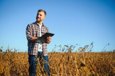 Agronomist tarım tarlasında soya fasulyesi hasadını teftiş ediyor - tarım kavramı - çiftlik soya fasulyesi tarlasında çiftçi.