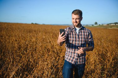 Soya fasulyesi çiftliğinin fotoğraflarını çeken çiftçi. Kalite kontrolü. Agronomistin işi. Brezilya Çiftliği.